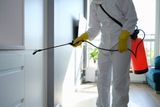 Best Attic Mold Removal  in Pinson, AL
