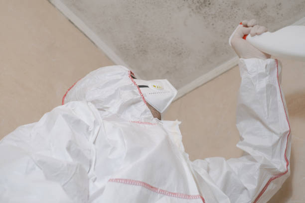 Best Mold Testing  in Pinson, AL