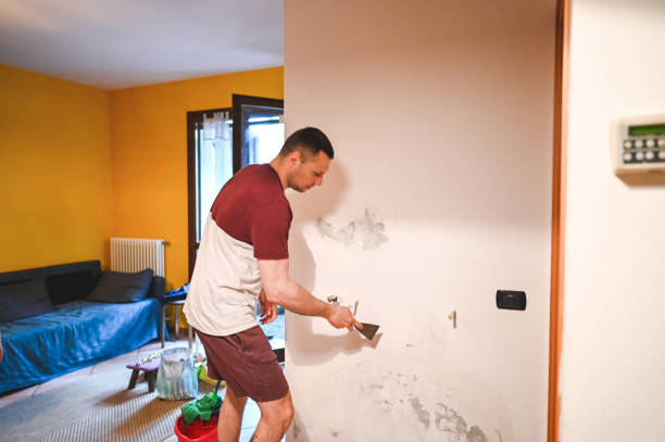 Best Black Mold Removal  in Pinson, AL